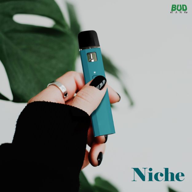 The Niche is the best CBD big puff