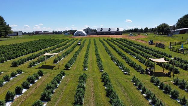 Cannabreeze Hemp Farm & Co featured image